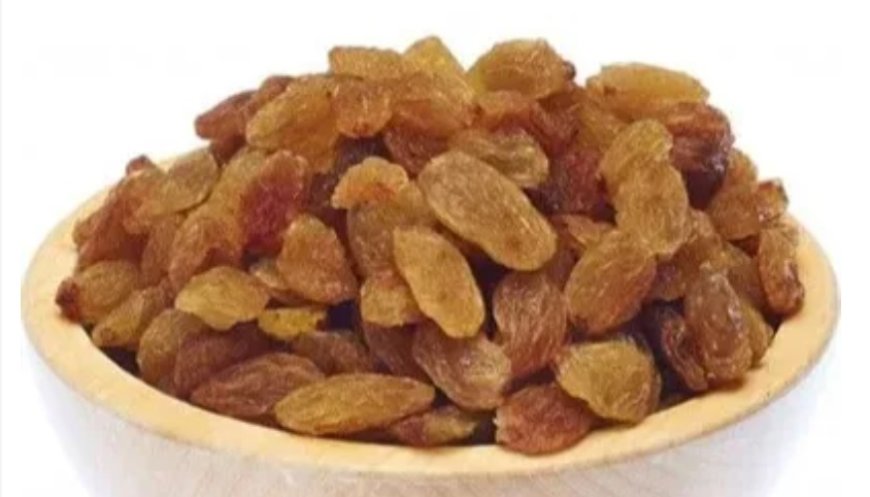 Ege’de Kuru Üzüm İhracatında Kriz: 22 Konteyner Ürün Avrupa’dan Geri Döndü