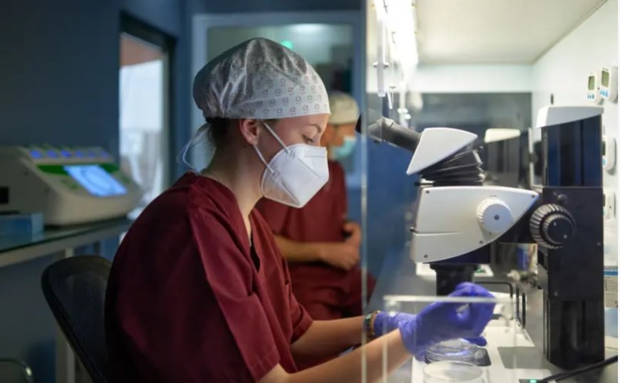 Türkiye'de Tüp Bebek Tedavisine Erişimde Adalet Var mı?