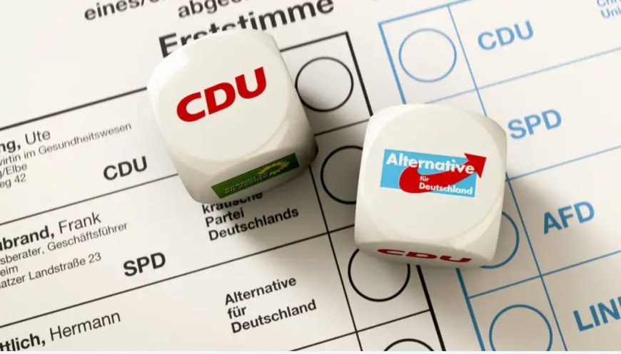 Almanya Türk Toplumu'ndan Oy Kullanma Kampanyası