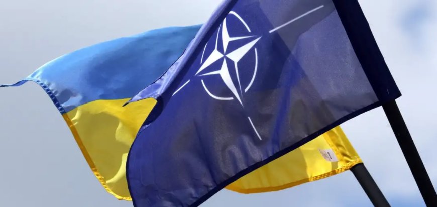 ABD: Ukrayna'nın NATO Üyeliği Gerçekçi Değil