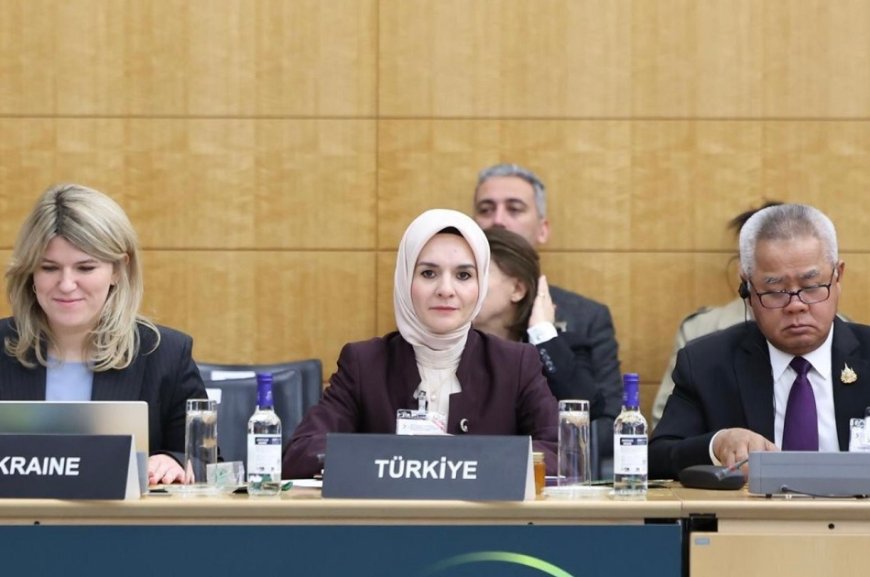 Mahinur Özdemir Göktaş OECD’de Aile Politikalarını Anlattı, Yusuf İnan’dan Sert Eleştiri