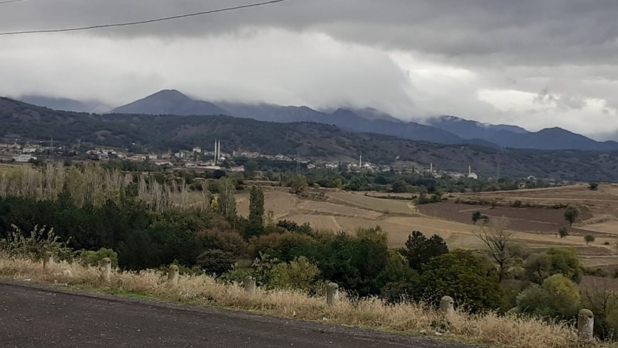 Salice Bayrakçı Hayatını Kaybetti