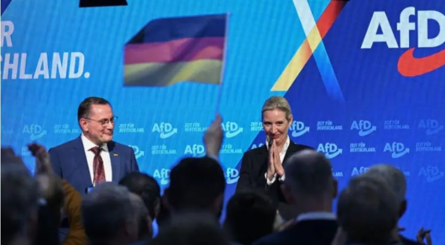 Almanya’da Türkler Seçim Sonuçları ve AfD’nin Yükselişi Hakkında Ne Düşünüyor?