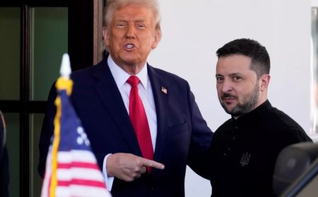 Trump ve Zelenskiy: 'Mükemmel' İlk Görüşmeden Oval Ofis Krizine