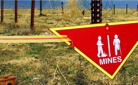 Polonya ve Baltık Ülkeleri Mayın Yasağı Sözleşmesi’nden Çekilmeye Hazırlanıyor