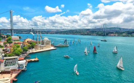 İstanbul Dişhekimleri Odası: Tarihçe ve Bugünkü Yapı