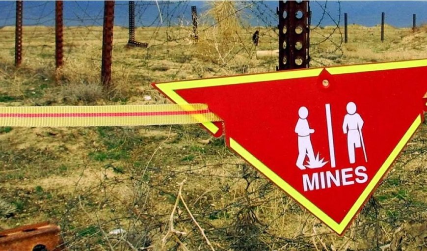 Polonya ve Baltık Ülkeleri Mayın Yasağı Sözleşmesi’nden Çekilmeye Hazırlanıyor