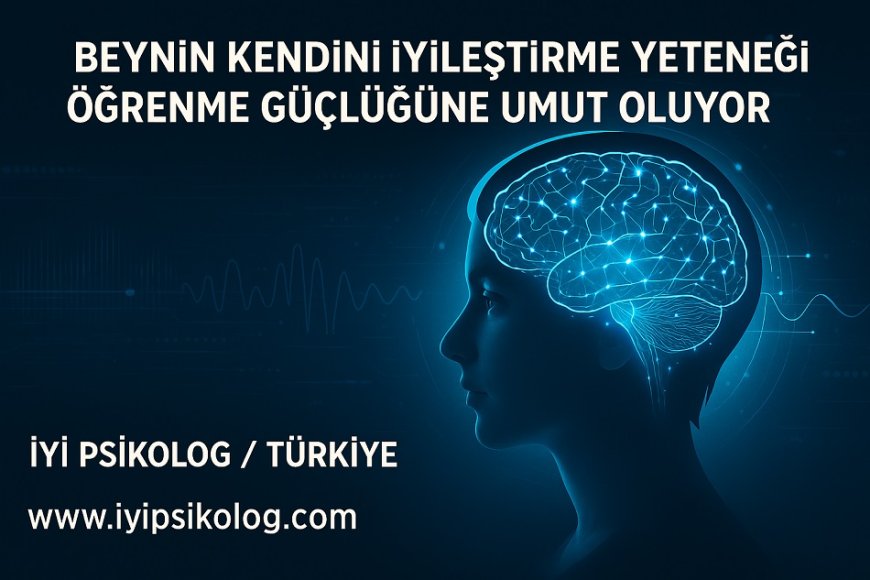 Beynin Kendini İyileştirme Yeteneği Öğrenme Güçlüğüne Umut Oluyor