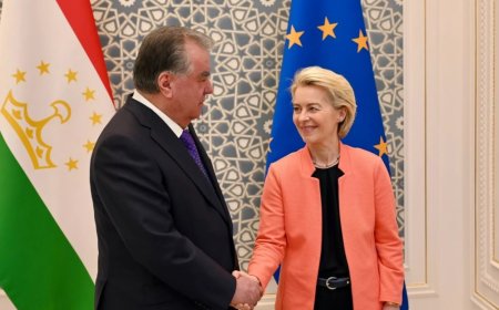 STK'lardan AB'ye Orta Asya Zirvesi İçin İnsan Hakları Uyarısı