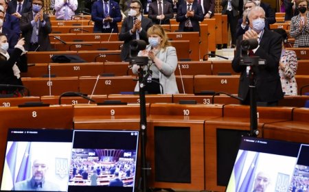 AKPM'den Türkiye’ye Sert Mesaj: İnsan Hakları İhlalleri Kınandı