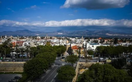 Kıbrıs’ta Yasa Dışı İlişkiler İddiaları ve Türkiye’nin Tepkisi