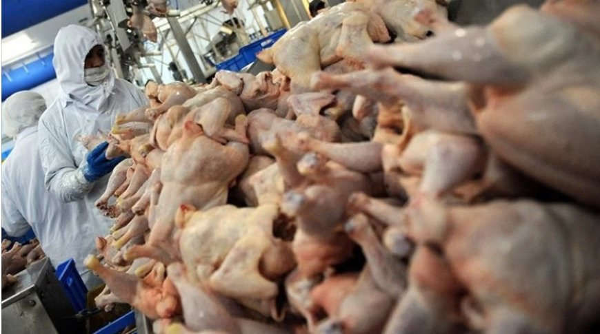 Şenpiliç’te Listeria Skandalı: Toplatılan Ürünler, Üzgün Açıklamalar