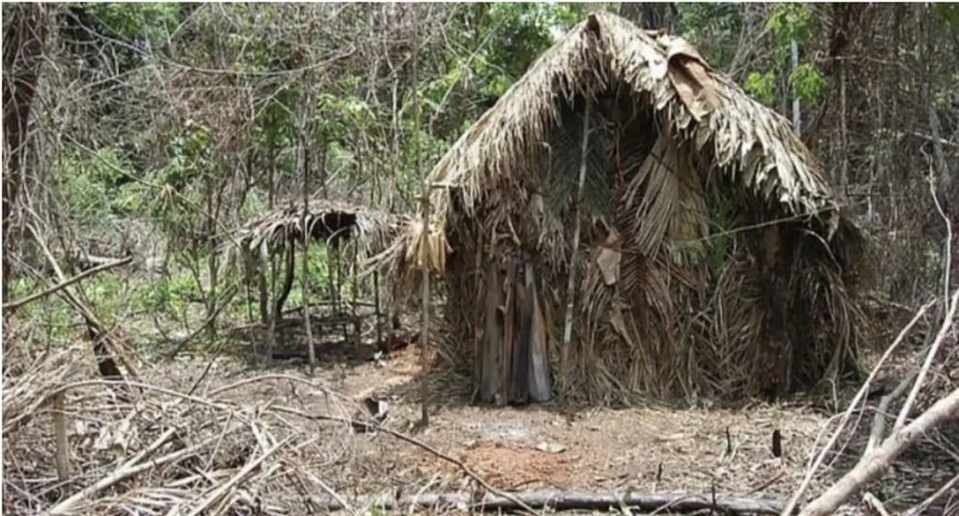 30 Yıl Tek Başına: Dünya Onun Hikâyesiyle Sarsıldı