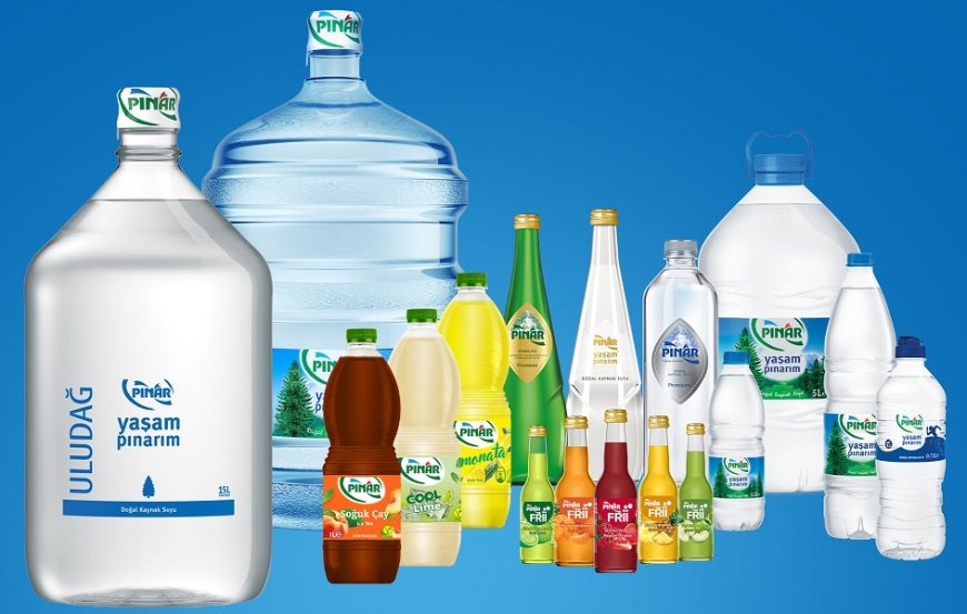 Pınar Su’ya 4,8 Milyon Lira Ceza