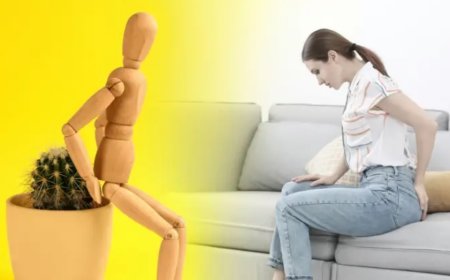 Çağımızın Sessiz Düşmanı: Hemoroidal Hastalıkla Nasıl Başa Çıkılır?