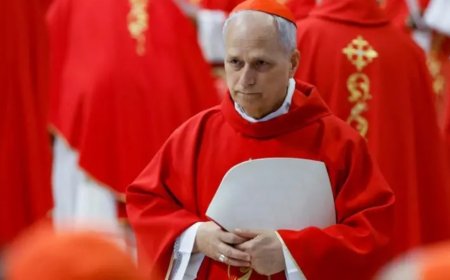 Fransa, İtalya ve İspanya kökenli yeni papa, Latin Amerika deneyimi ve reformcu tutumuyla dikkat çekiyor