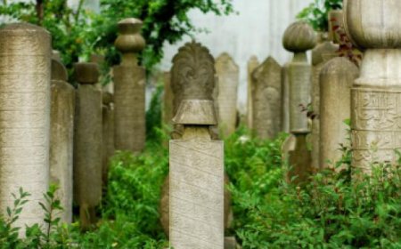 Ölümle Yüzleşmek: Bir Şok Tedavi Olarak Hayatın Gerçeği