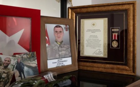 Barış Süreci Şehit Ailelerini Nasıl Etkiliyor?