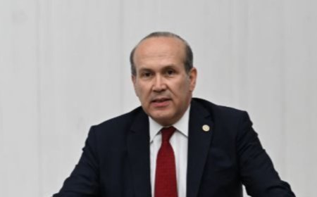 CHP’de Dış Politika Krizi: Namık Tan İstifa Etti, Özgür Özel Durdurdu