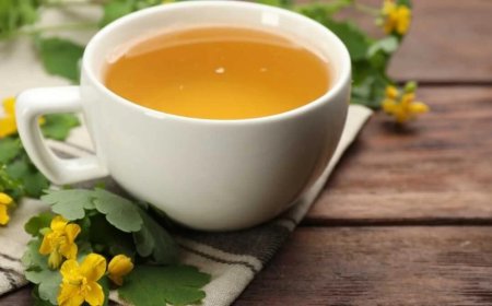 Kırlangıç Otu Nedir? Faydaları, Kullanımı ve Dikkat Edilmesi Gerekenler