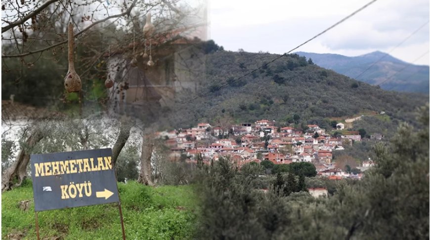 Kaz Dağları’nın Kalbinde Bir Çeşme: MehmetAlan Köyü'nde Akan Hikmet