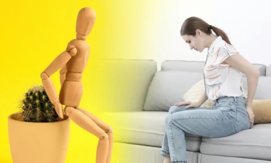 Çağımızın Sessiz Düşmanı: Hemoroidal Hastalıkla Nasıl Başa Çıkılır?