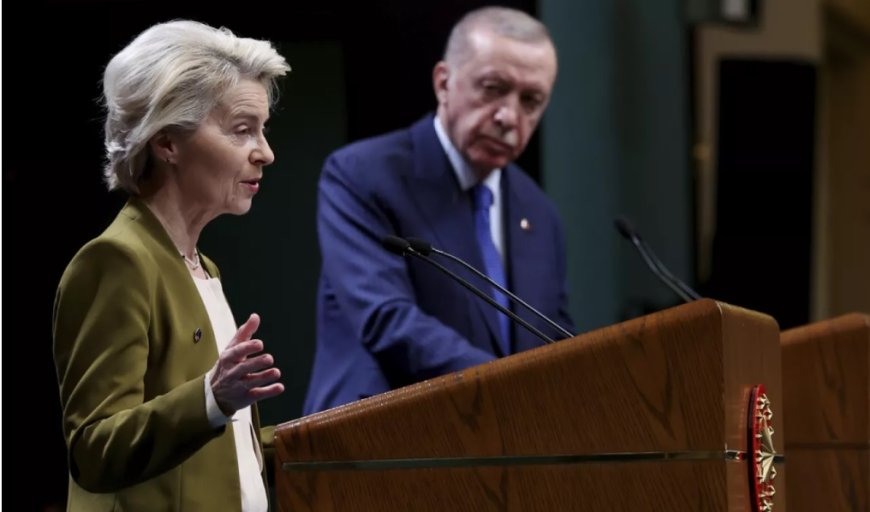 Sanchez Amor: Türkiye'nin AB Süreci OHAL Yasalarıyla Durduruldu