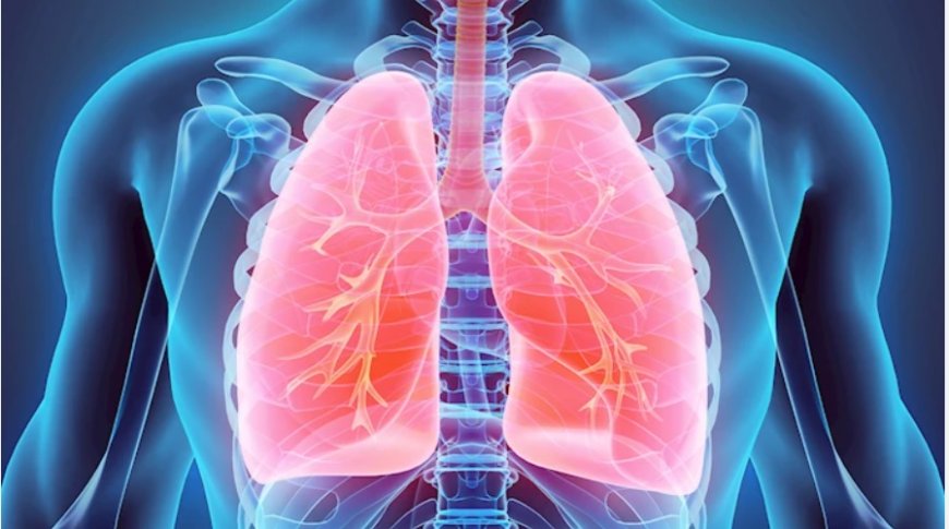 Rüyada Akciğer Görmek Ne Anlama Gelir? Ömür, Sevinç ve Manevi Yorumlar