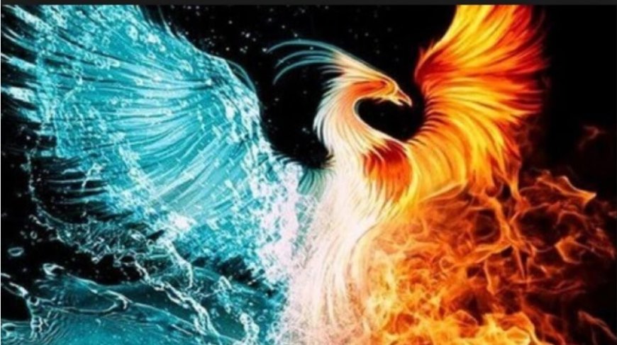 Rüyada Anka Kuşu Görmek Ne Anlama Gelir? Derin İslami Yorumlarla Açıklamalar