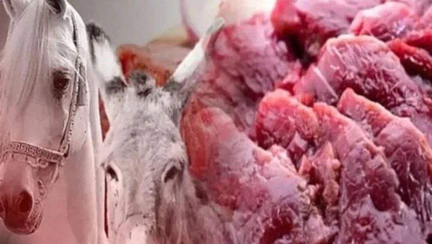 At ve eşek eti tespit edilen catering firması belediyenin ihale yıldızı çıktı