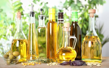 Türkiye’nin Zeytin ve Zeytinyağı İhracatında Avustralya’ya Rekor Sıçrama