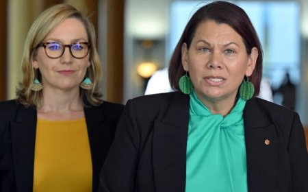 Yeşiller Partisi Cox’un Ayrılığıyla Sarsıldı: Yeni Bir Yön Mü Şart?