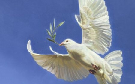 Barış Kültürü: Görünmeyen Şiddete Karşı Sessiz Bir Devrim