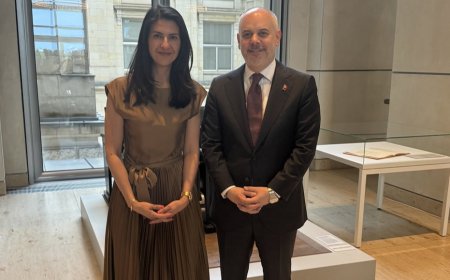 Eurofighter Diplomacy and the  Turkish Century  Debate: Are Turkish-Origin Leaders Assuming a Global Role?