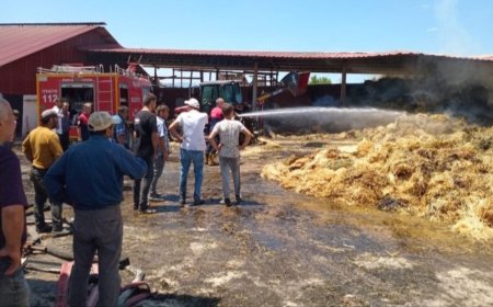 Taşova’da Çiftlik Yangını Paniğe Neden Oldu: Samanlık ve Yemler Küle Döndü
