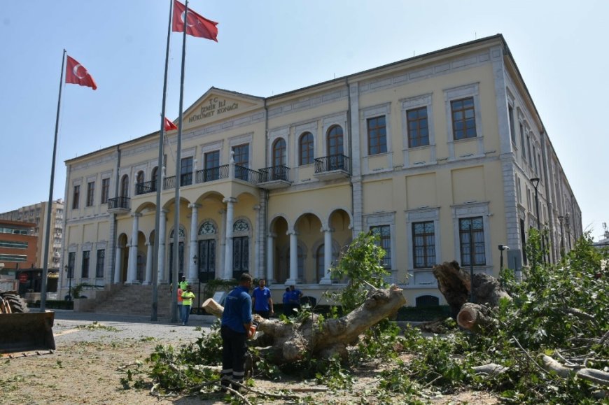 İzmir’in Kalbindeki 120 Yıllık Çınar Ağacı Devrildi: Facianın Eşiğinden Dönüldü