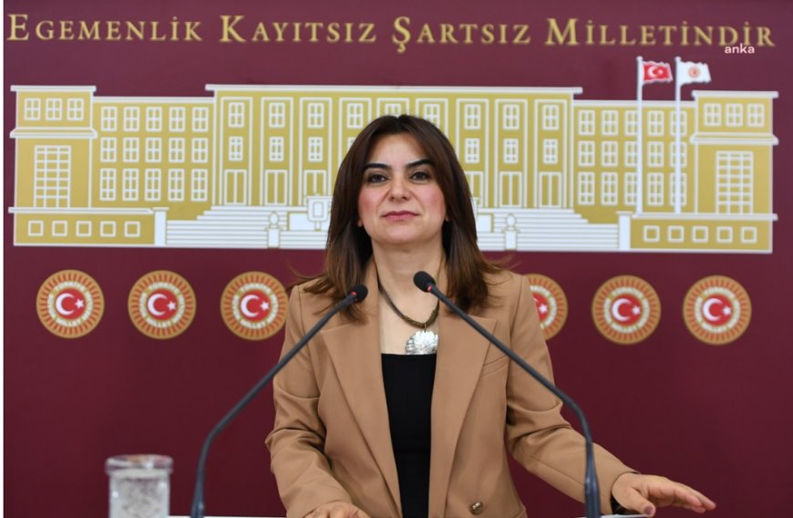 DEM Parti'den İmralı Teması Çağrısı: Siyasi Partiler Öcalan’la Görüşmeli