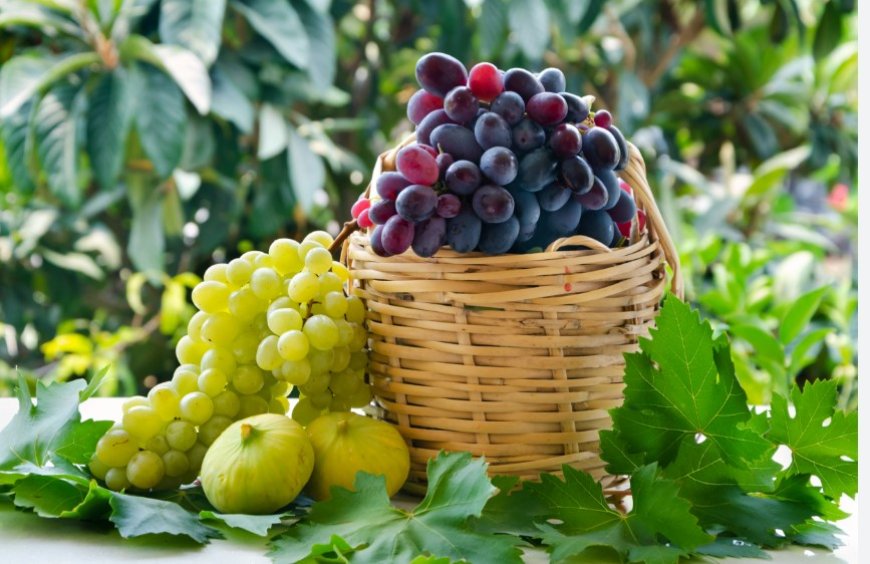 Rüyada Üzüm Görmek Ne Anlama Gelir? İşte Tüm Tabirler ve Anlamları!