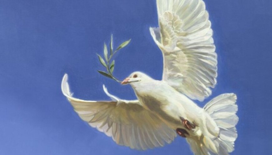 Barış Kültürü: Görünmeyen Şiddete Karşı Sessiz Bir Devrim