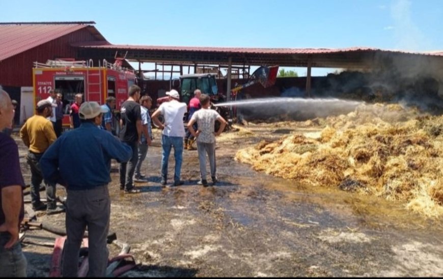 Taşova’da Çiftlik Yangını Paniğe Neden Oldu: Samanlık ve Yemler Küle Döndü
