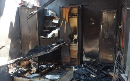 İzmir’deki Yangının Ardından:  Dağ, taş her yer kül yığınına dönmüş, burada nasıl yaşanır?