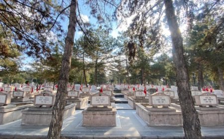 Şehit Yakınlarından Sürece Tepki: Evlatlarımız Boşuna mı Şehit Oldu?