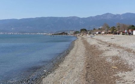 Edremit Körfezi’nde Alarm Zilleri: Arıtma Yok, Lağım Kokusundan Denize Girmek İmkânsız