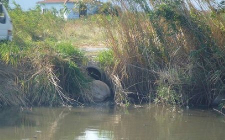 Akçay Sahilleri Tehlike Altında: Arıtma Yetersiz, Lağım Suları Körfez’e Akıyor