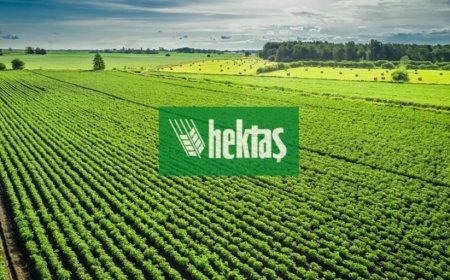 Bank of America’dan HEKTAŞ Hisselerine Yüklü Alım Dalgası