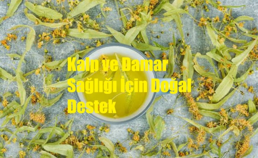 Ihlamurun Şifalı Gücü: Kalp ve Damar Sağlığı İçin Doğal Destek