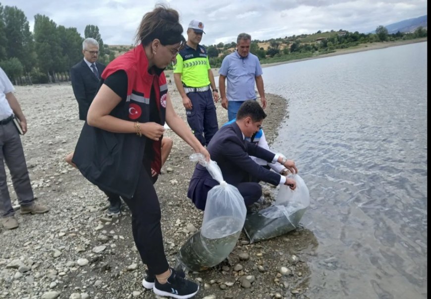 Uluköy Barajı’na 25 bin yavru sazan bırakıldı: Ekosisteme ve yerel ekonomiye destek