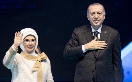 Erdoğan'ın Usta Satranç Oyunu: 2017 Referandumu Hamlesi ve Siyasi Gelecek