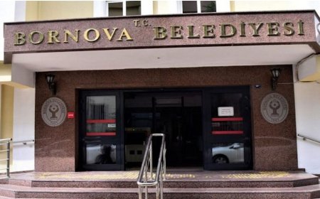 Bornova’da vatandaşın gündemi: başıboş köpekler, temizlik ve çevrimiçi hizmetler
