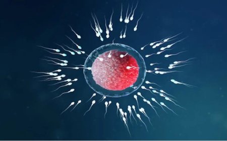 Uzman uyarısı: Sperm sayısındaki düşüşte başlıca etkenler sigara ve varikosel